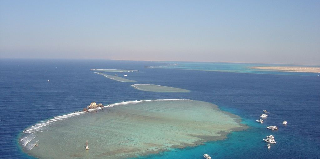 tiran sinai