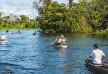 Amazon Rain Forest