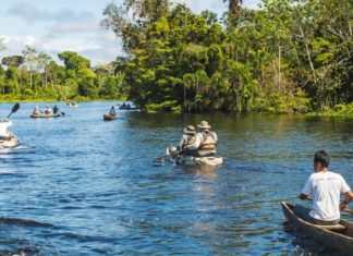 Amazon Rain Forest
