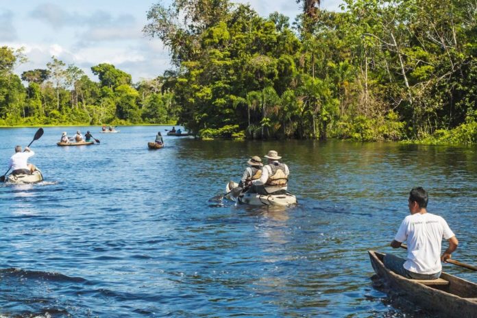 Amazon Rain Forest