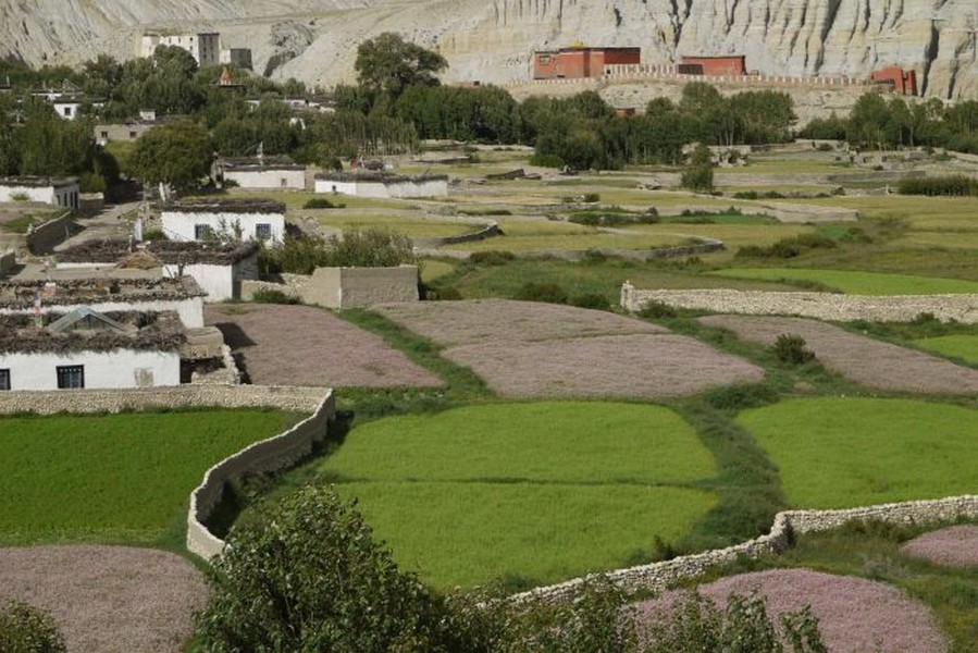 upper mustang nepal tourism kingdom of lo mustang nepal mustang nepal trek