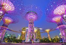 Singapore rules for visitors — 9 things to know when traveling to Singapore Gardens-by-the-Bay