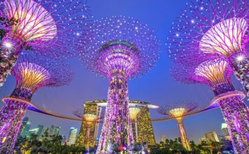 Singapore rules for visitors — 9 things to know when traveling to Singapore Gardens-by-the-Bay