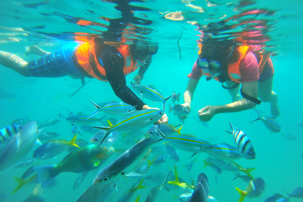 Pulau Payar Marine Park