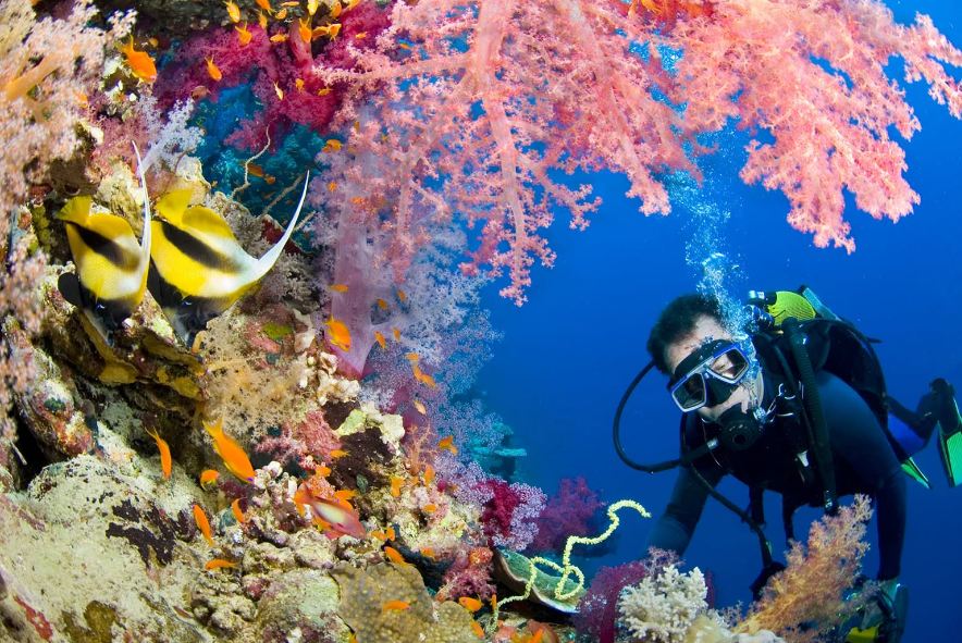similan-scuba-dive-matt-XL