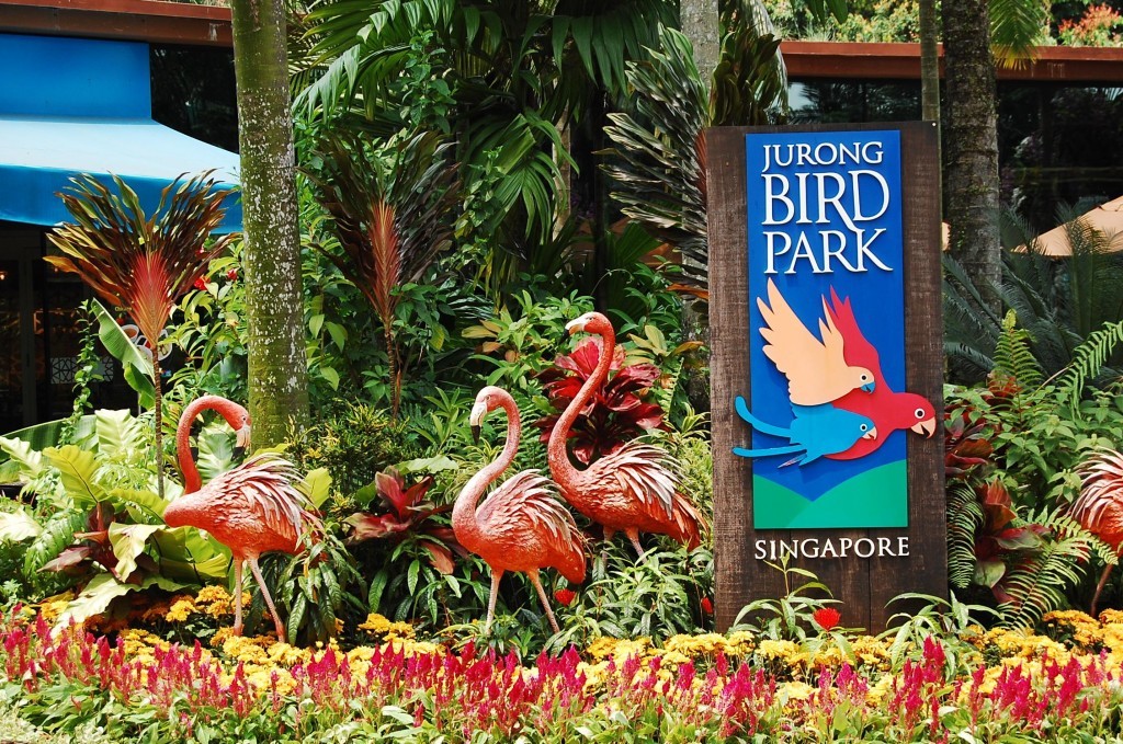 jurong-birdpark