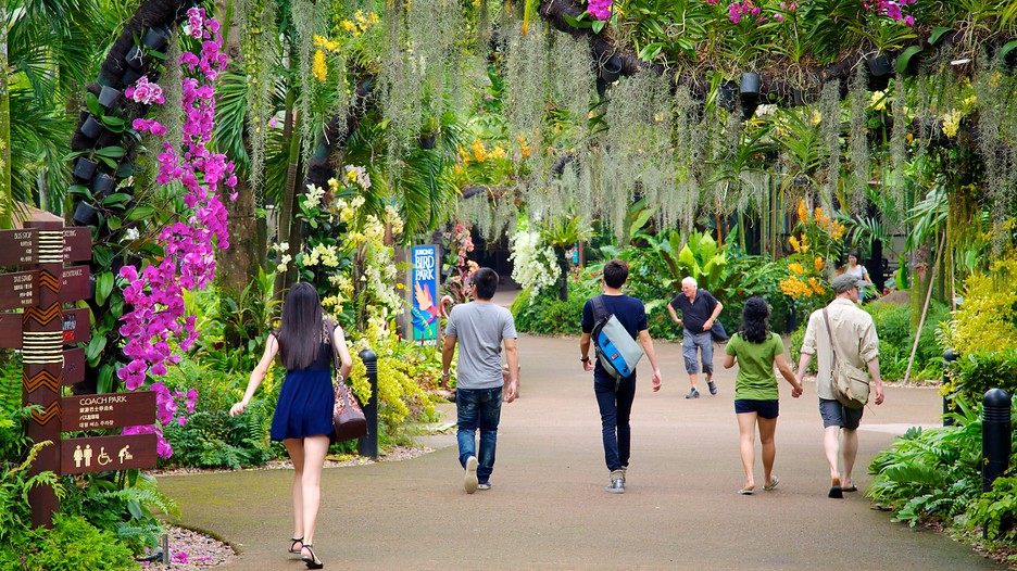 jurong-birdpark