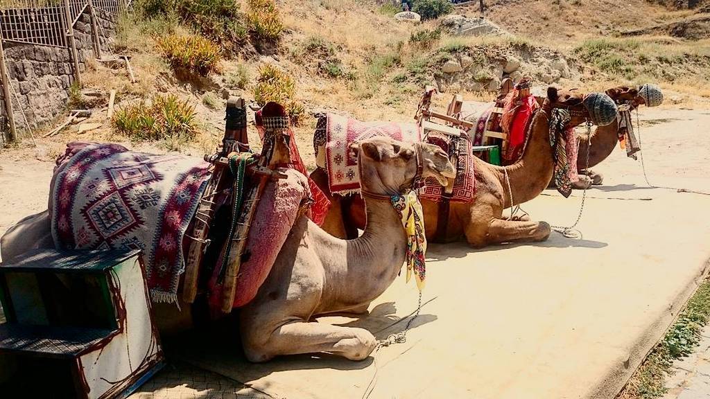 Best experiences when traveling to Turkey (9) top things to do in turkey fun things to do in turkey top 10 tourist attractions in turkey