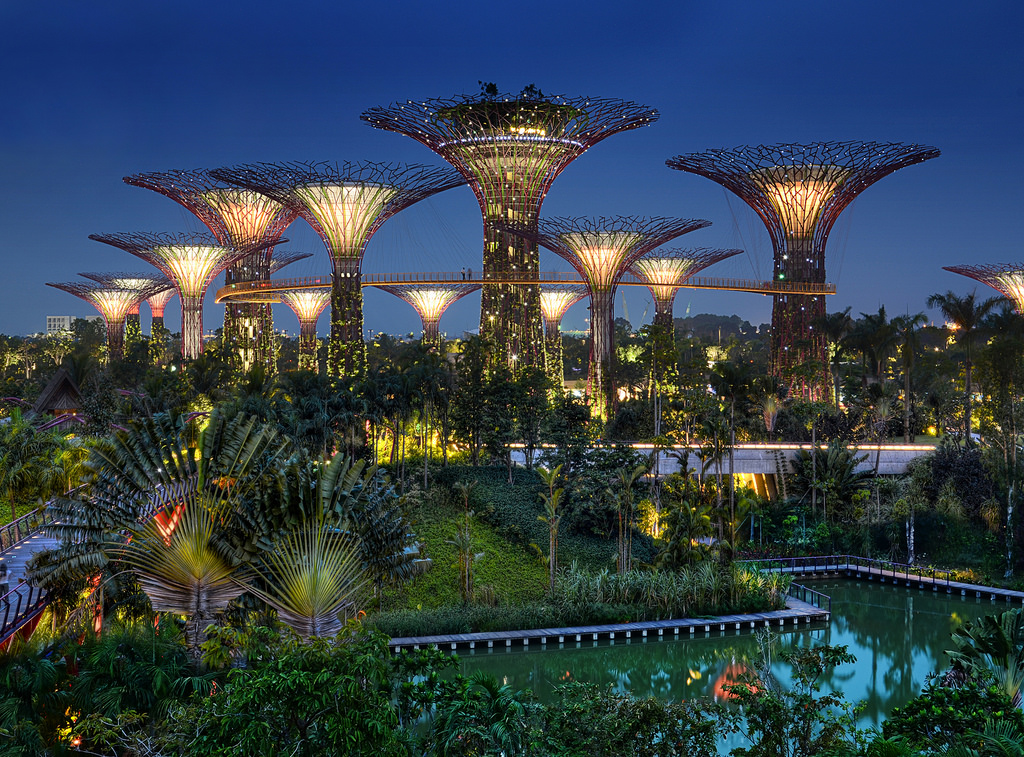 Gardens by the Bay1