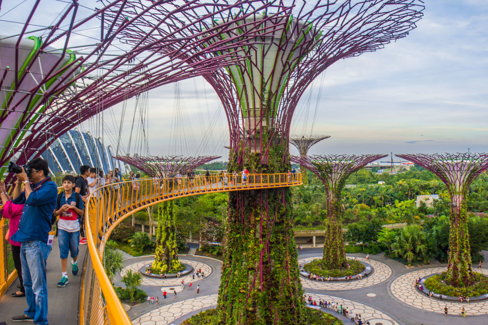 Gardens by the Bay2