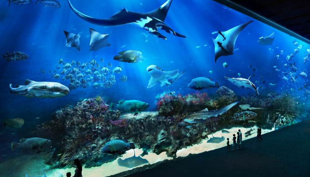 The SEA Aquarium1