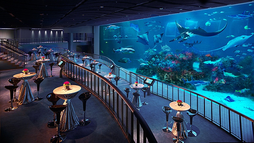 The SEA Aquarium6