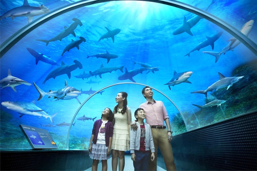 The SEA Aquarium7