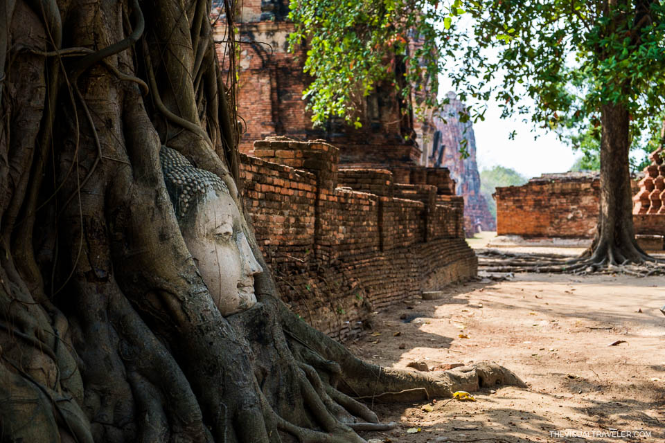 ayutthaya budda head