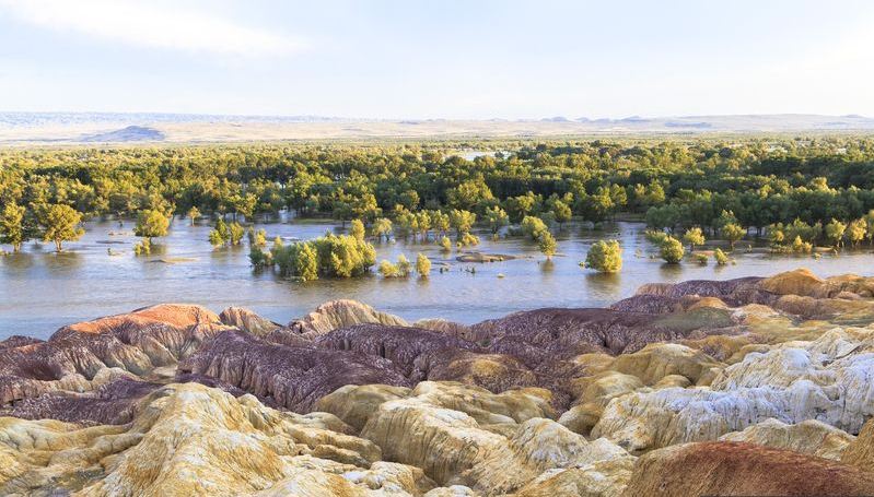 Tarim river