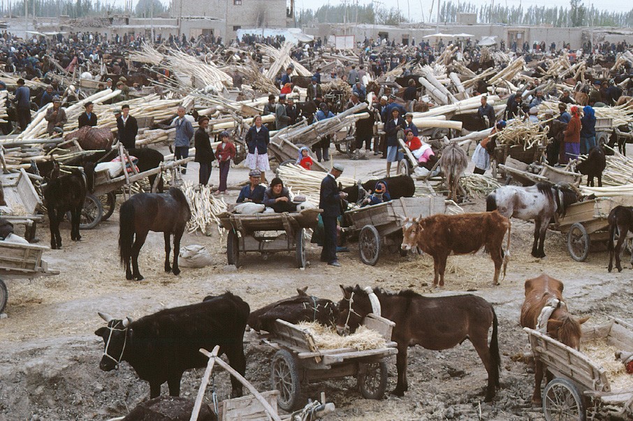 Xinjiang animals market