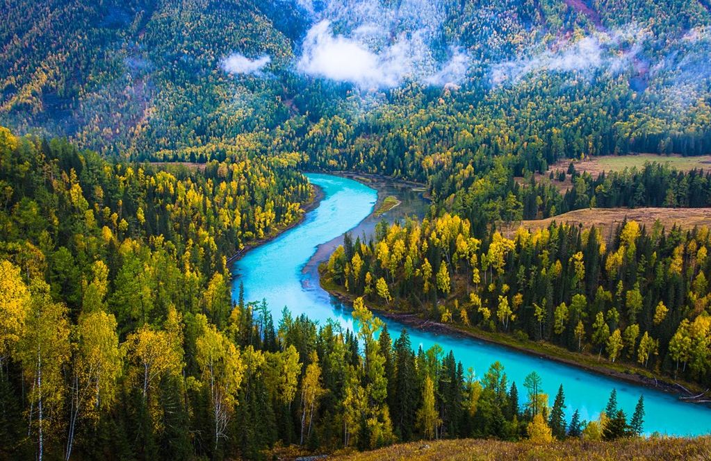 tarim river Image: xinjiang travel guide blog.