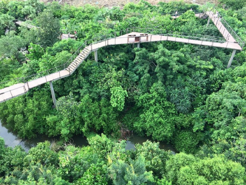 Pa nai Kung Bangkok 4
