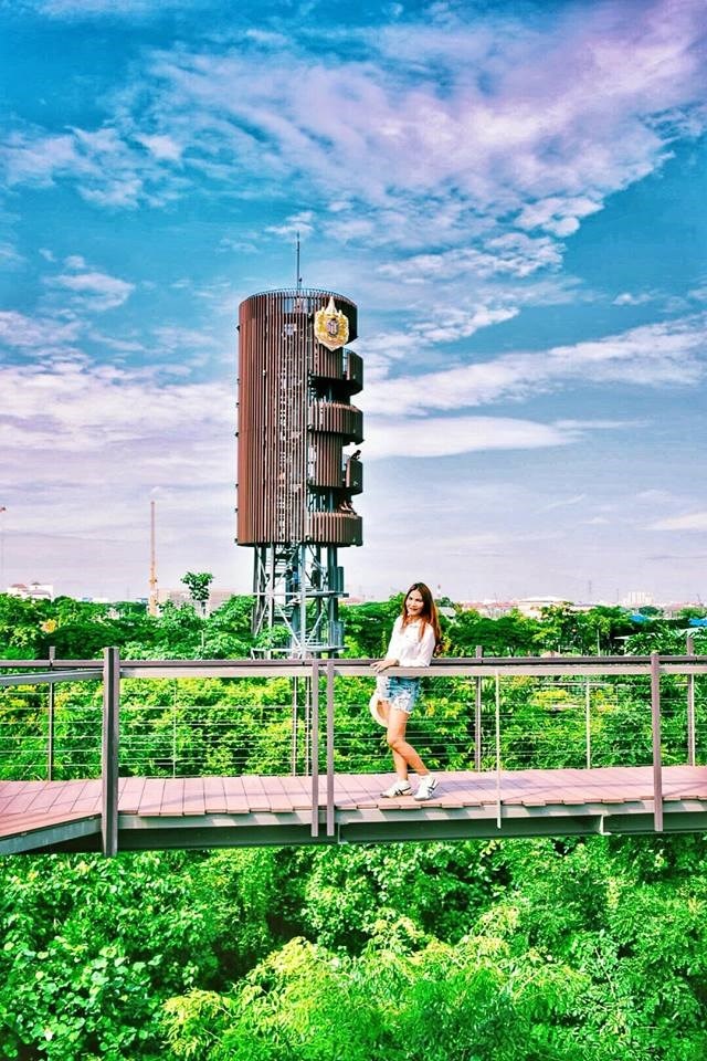forest in the city bangkok pa nai krung bangkok 22