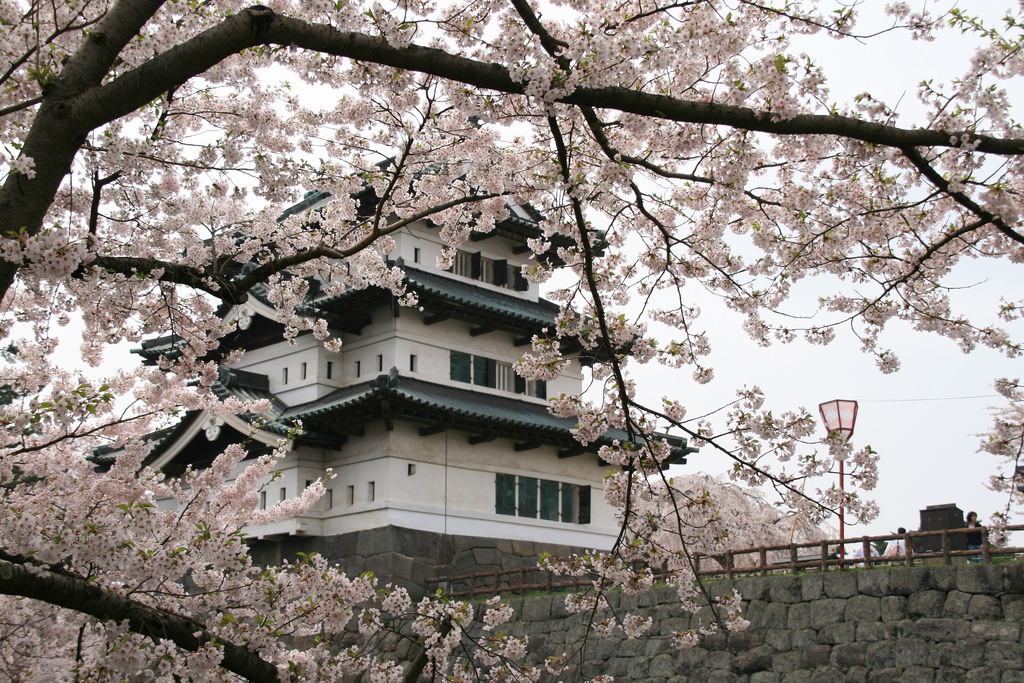 Japanese ancient castle 26