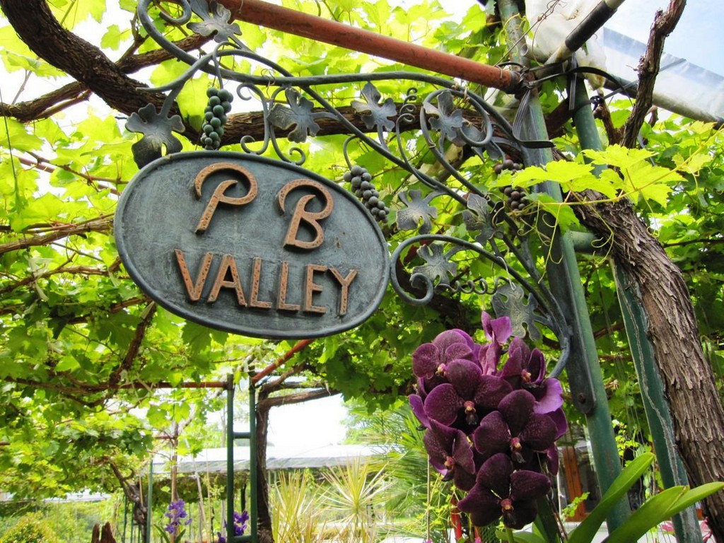 PB Valley Khao Yai Winery