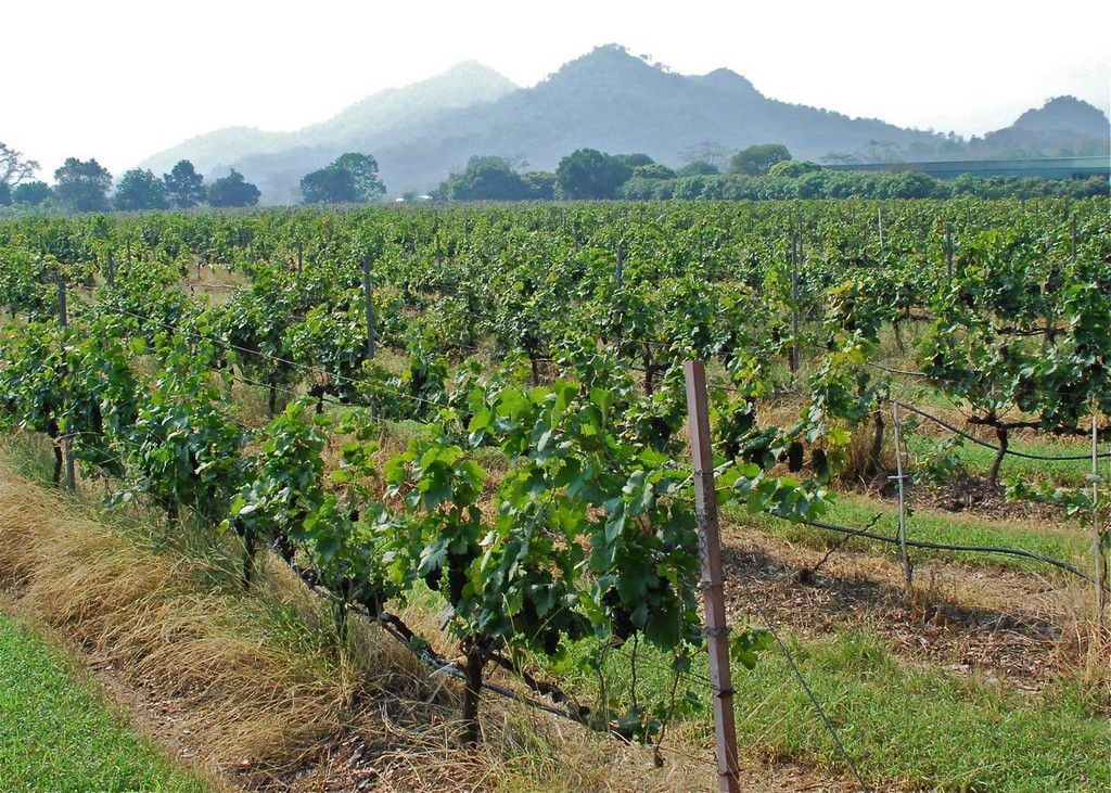 PB Valley Khao Yai Winery
