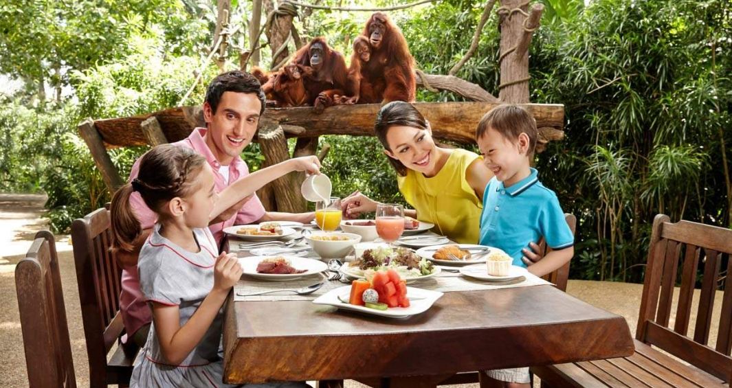 Jungle Breakfast