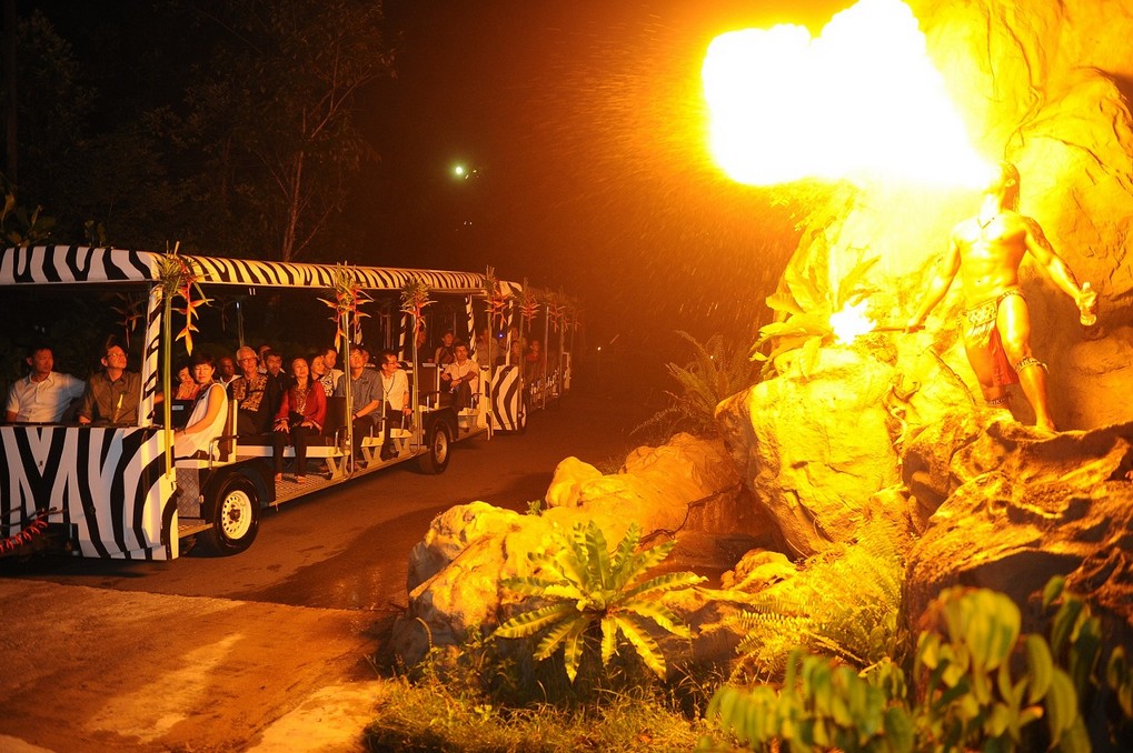 Singapore zoo at night