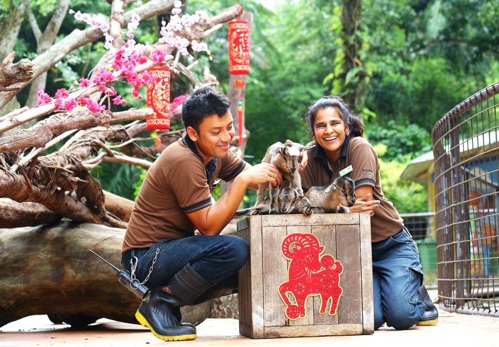 Singapore zoo singapore zoo guide singapore zoo travel tips singapore zoo tips