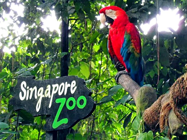 Singapore zoo2