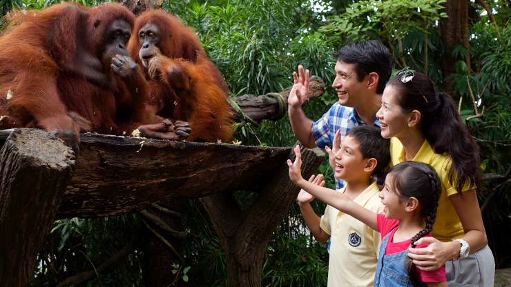 Singapore zoo3