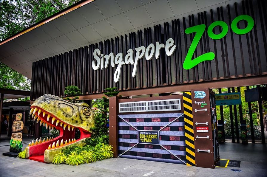Singapore zoo5 singapore zoo guide singapore zoo travel tips singapore zoo tips