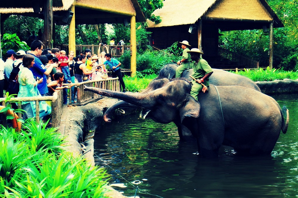 The singapore zoo2