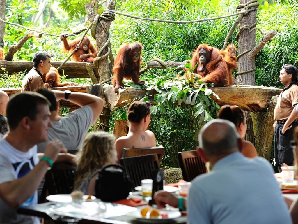 Breakfast in singapore zoo