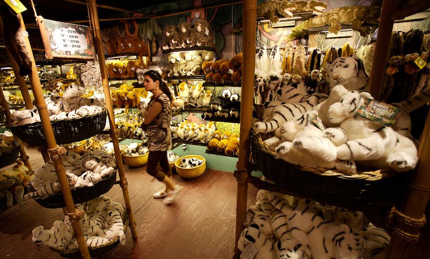Singapore Zoo Souvenir singapore zoo guide singapore zoo travel tips singapore zoo tips