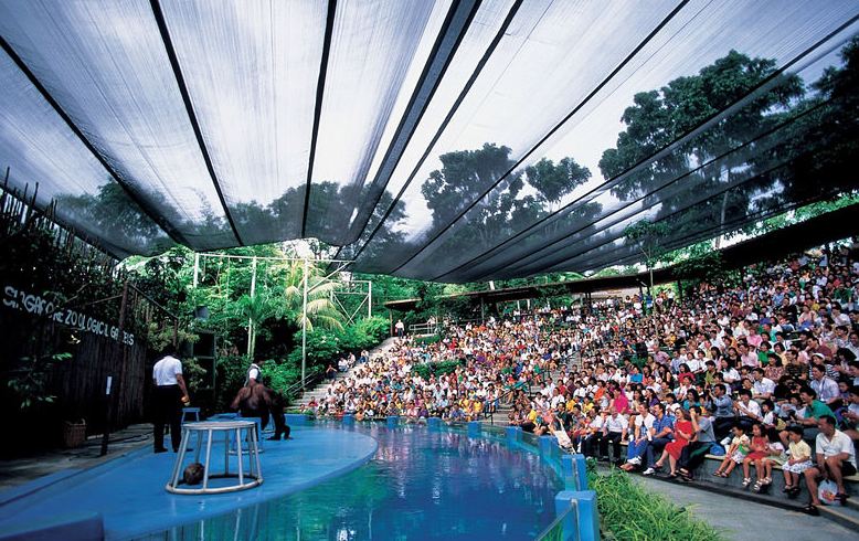 Singapore zoo 14 Picture: Singapore Zoo guide blog.
