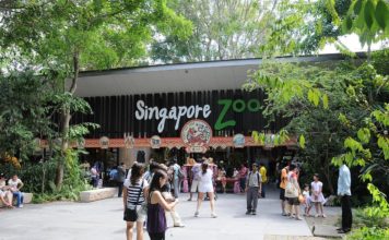 Singapore_Zoo_entrance