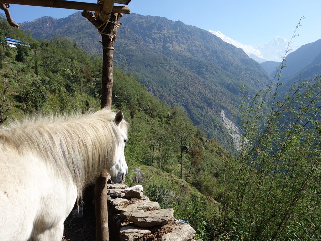 Annapurna south