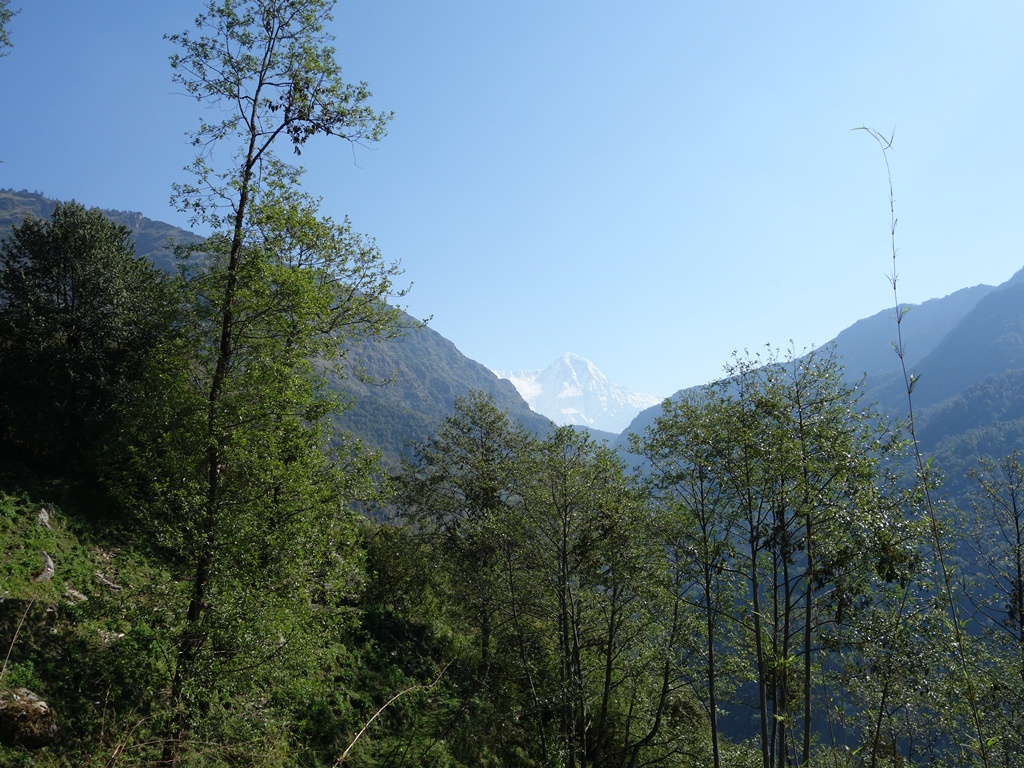 Annapurna south1 poon hill trekking poon hill trek 4 days poon hill itinerary