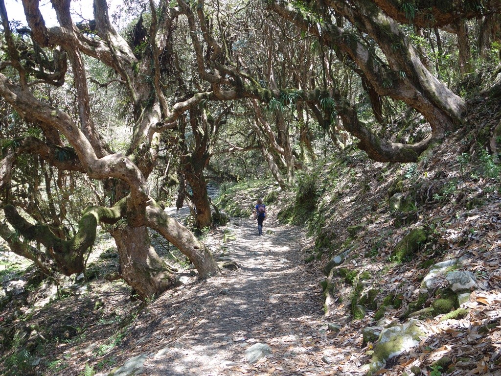 trekking-Poon-Hill-Nepal-i21 poon hill trekking poon hill trek 4 days poon hill itinerary