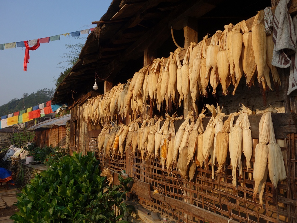 trekking-Poon-Hill-Nepal41