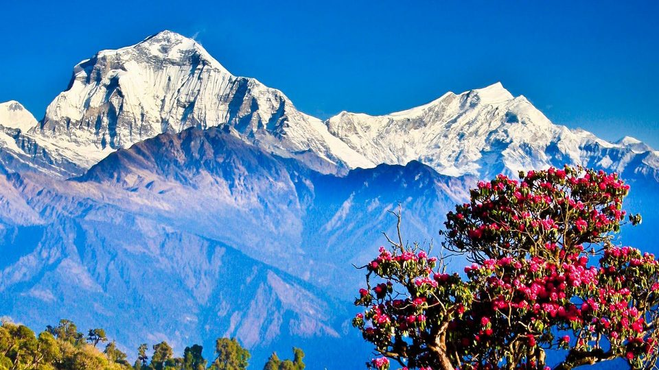 Image by: Poon Hill trek 4 days blog.