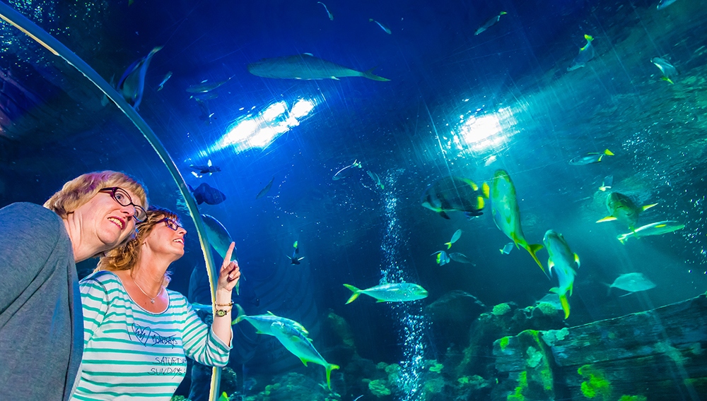 adult-night-at-sea-life-1