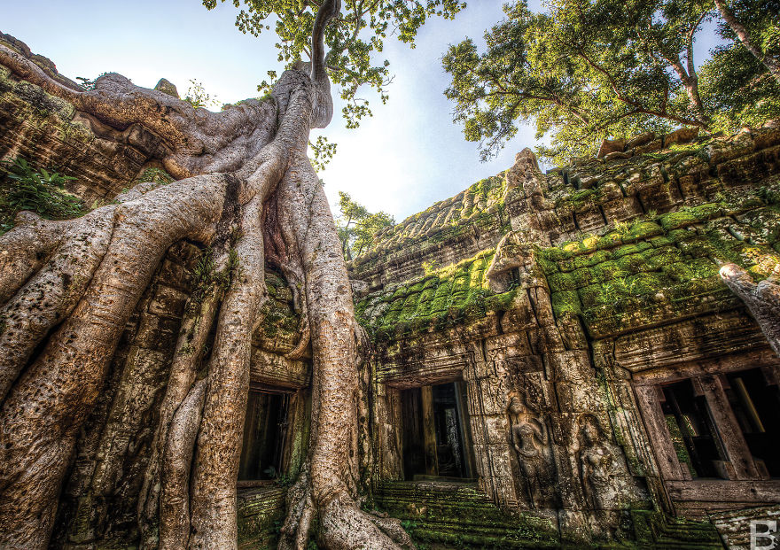 ta-prohm-temple1