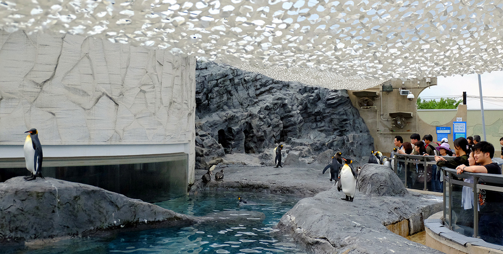 Asahiyama zoo-hokkaido-japan3