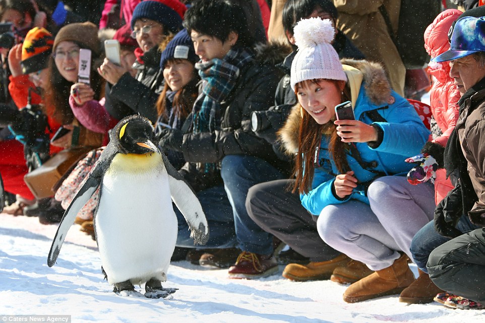 hokkaido zoo