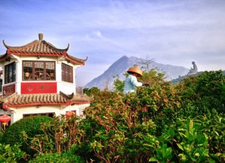 Ngong Ping Tea-house