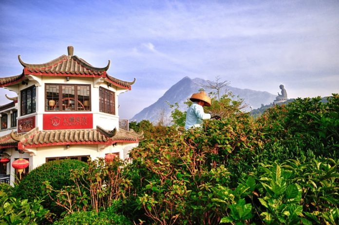Ngong Ping Tea-house Ngong Ping Tea-house