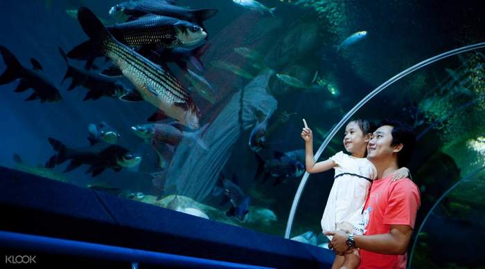 UnderwaterWorldPattaya