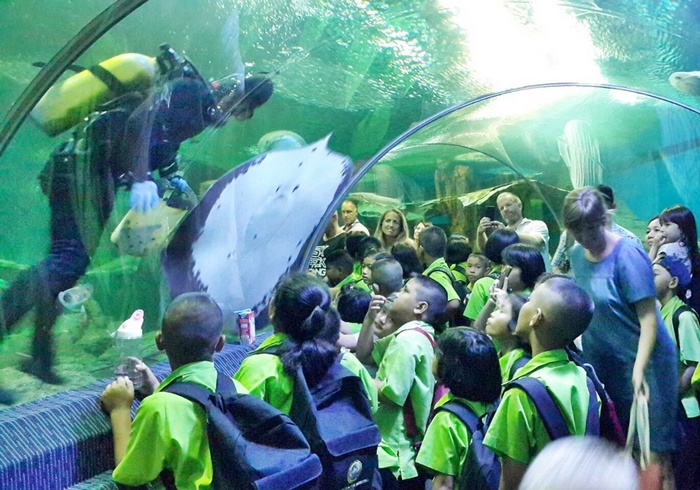UnderwaterWorldPattaya35
